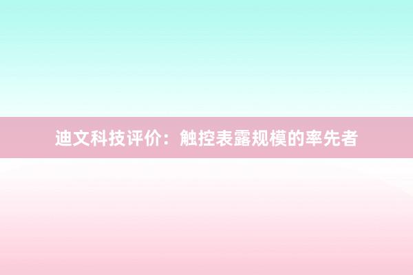 迪文科技评价：触控表露规模的率先者